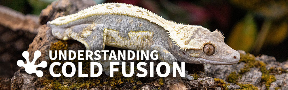 Understanding Cold Fusion: Lineage or Trait?
