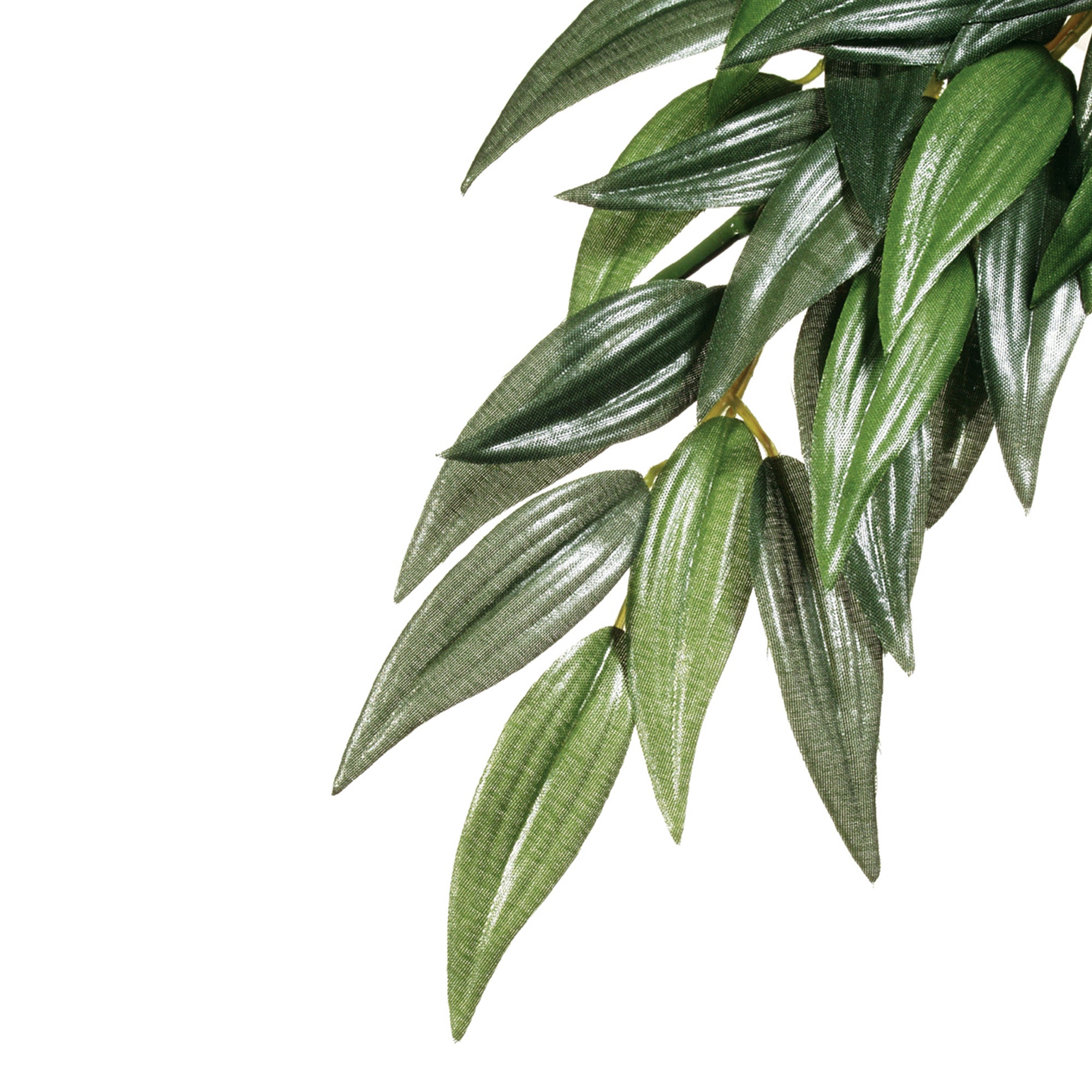 Exo Terra Hanging Silk Plants-Ruscus