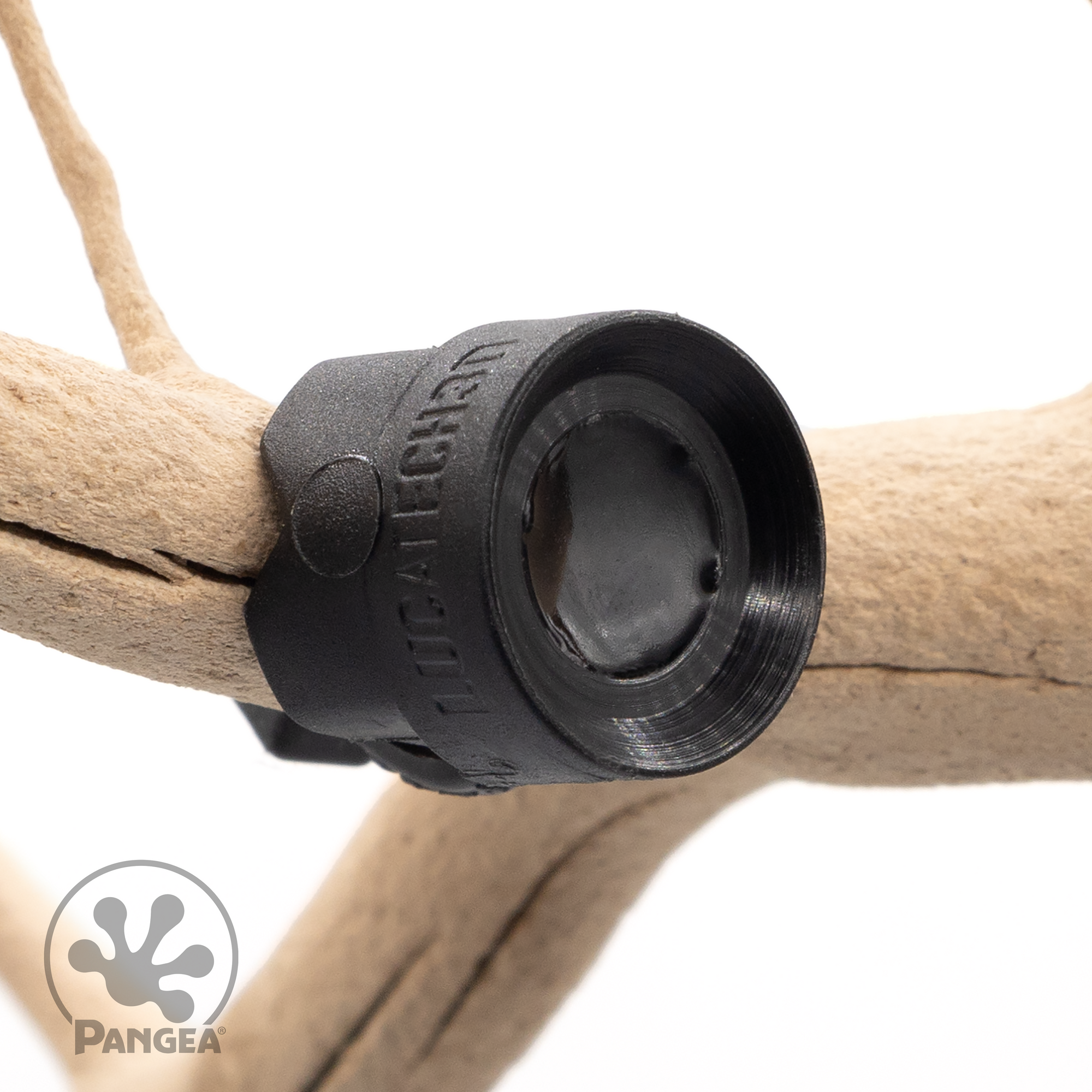 Pangea MicroDish Branch Mount Small - mount displayed on branch.