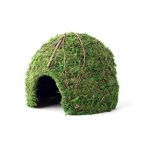 Galápagos Mossy Dome