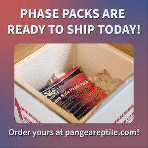 Pangea Temp-Safe Phase Pack - phase pack in box at angle ready to order from theredhouse.shop today.