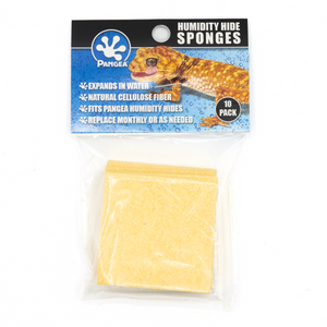 Pangea Humidity Hide Sponges packaging.