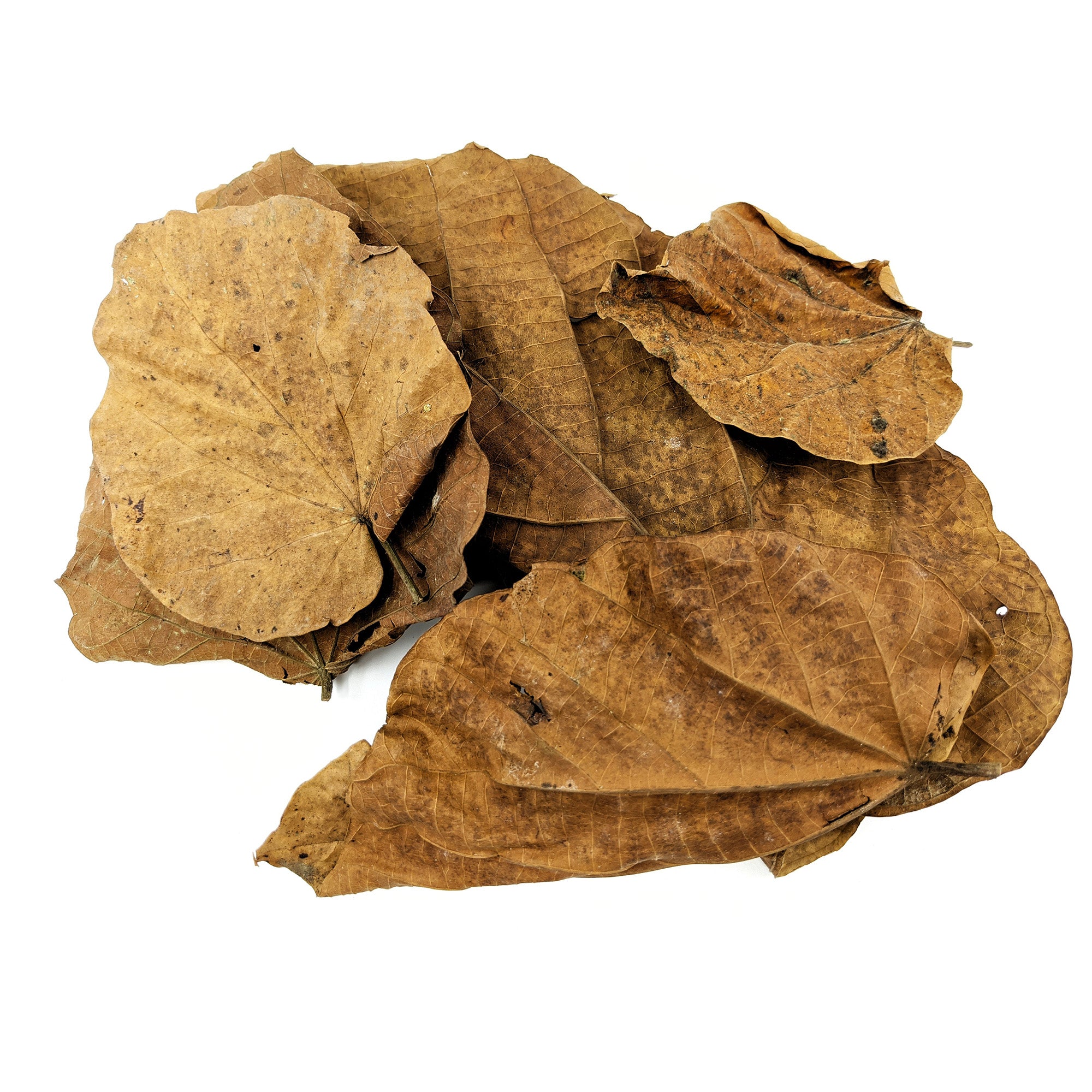 Pangea Peruvian Topa Leaf Litter