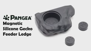 Pangea Eco Ledge - Magnetic Silicone Gecko Food Ledge