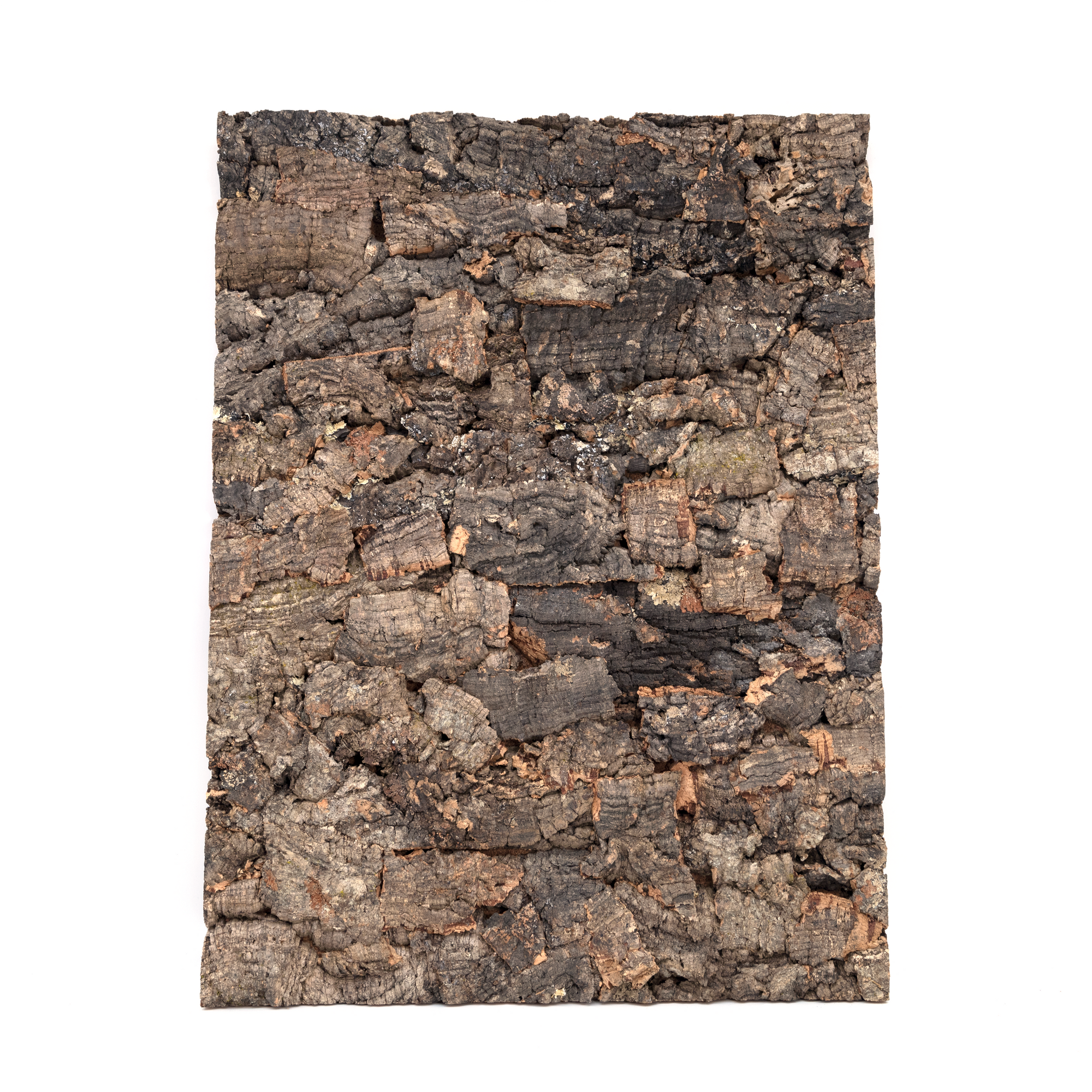 Pangea Cork Background - 18x24 Rough