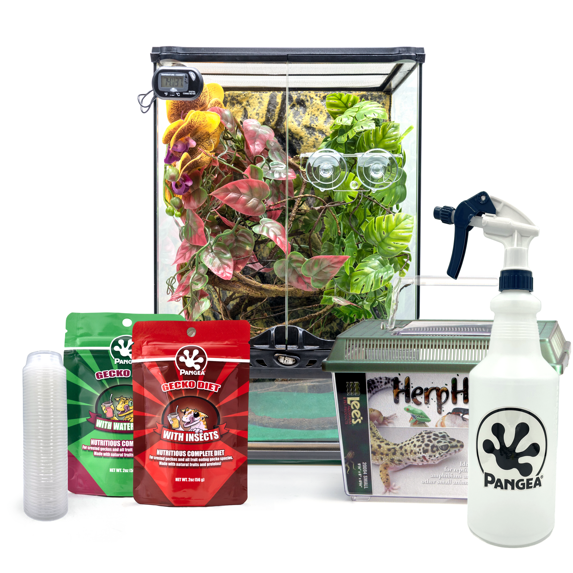 Pangea Complete Crested Gecko Kit