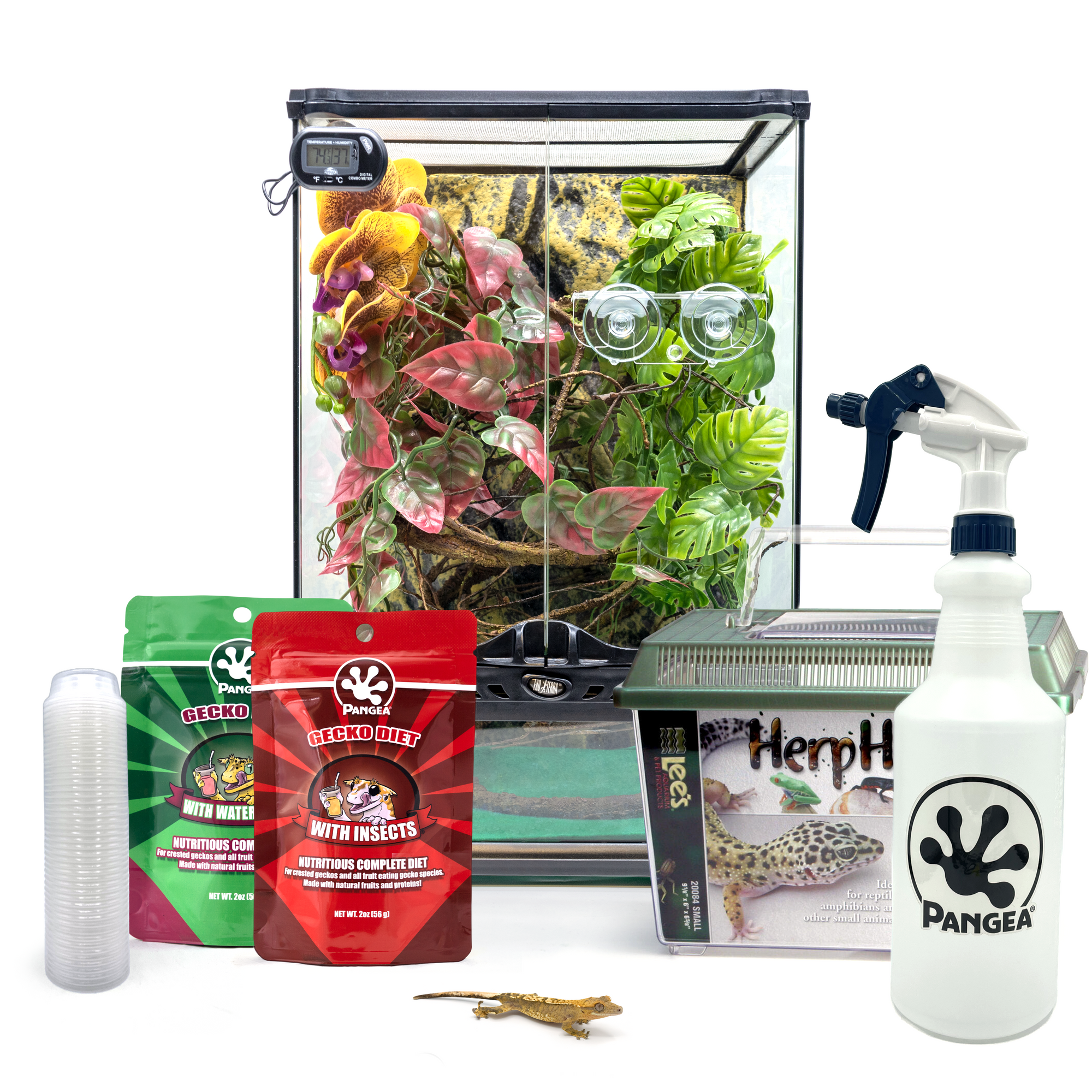 Complete Crested Gecko Kit with Free Gecko!