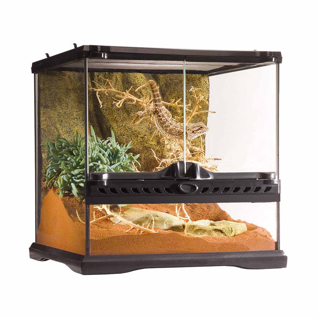 Exo Terra Glass Terrarium 12"x12"x12"