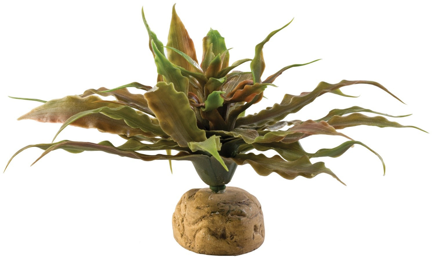 Exo Terra Star Cactus