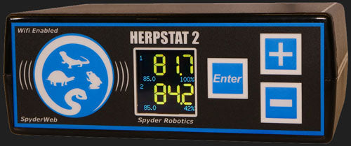 Herpstat 2 SpyderWeb front