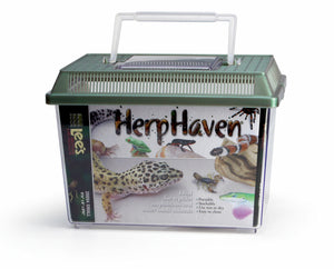 Complete Crested Gecko Kit with Free Gecko!