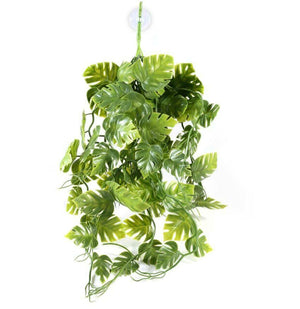 Pangea Plants - Green