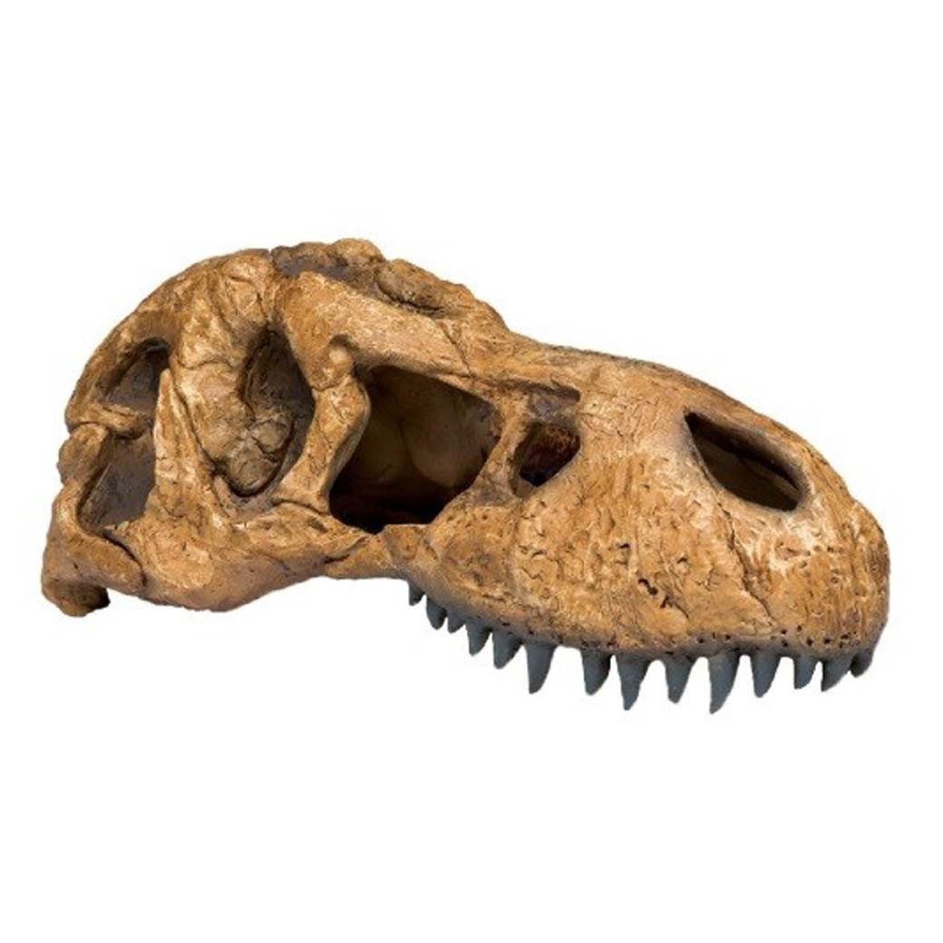 Exo Terra T-Rex Skull